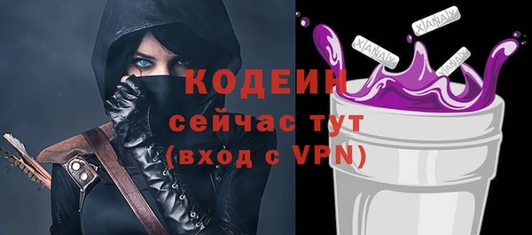 гашик Бородино