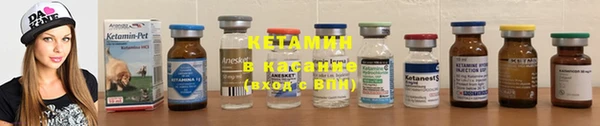 гашик Бородино