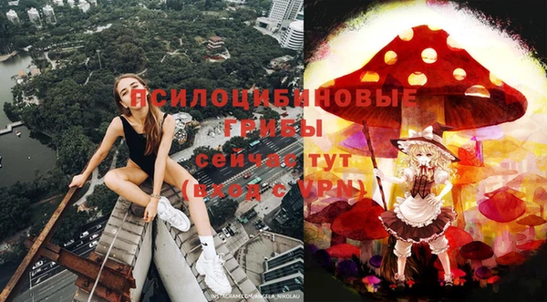 гашик Бородино