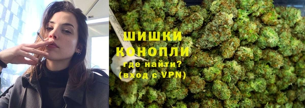 дживик Володарск