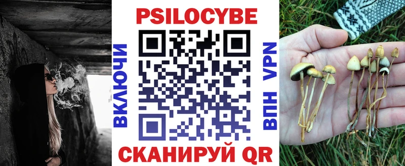 Галлюциногенные грибы MAGIC MUSHROOMS  ОМГ ОМГ как войти  Гай 