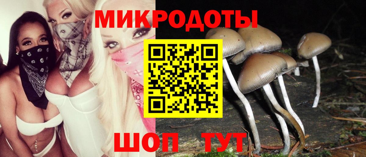 Галлюциногенные грибы мухоморы Гай