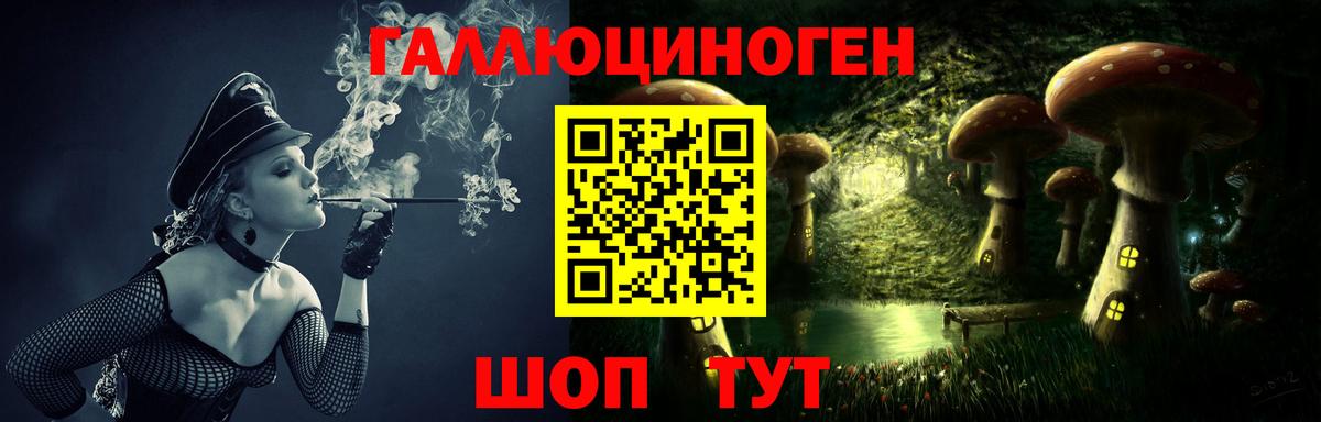 Галлюциногенные грибы Cubensis  Псилоцибиновые грибы MAGIC MUSHROOMS  Вход с VPN  Гай 
