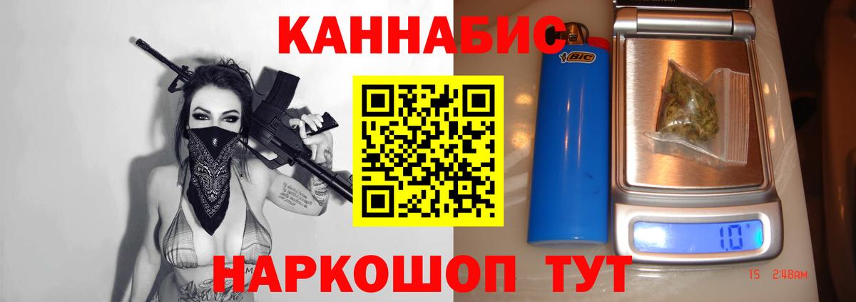 Конопля индика  Канабис гибрид  Гай 